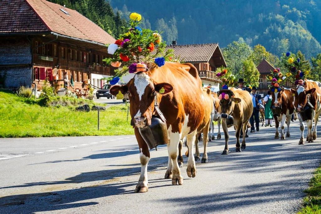 Confortable Chalet Avec Magnifique Vue En Gruyere. Charmey Zewnętrze zdjęcie